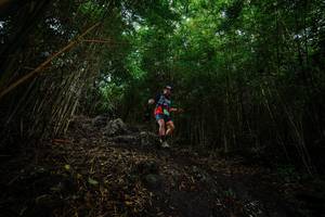 BIB: 
                            <button type="button" onclick="openModal(25096257)" class="btn btn-primary btn-sm float-right btn-popup" data-toggle="modal" data-target=".modal-high-quality">
                        <i class="fas fa-shopping-cart"></i> Add to Cart
                    </button>
                                            <button type="button" onclick="isThisMe(25096257, true)" class="btn btn-success btn-sm float-right btn-popup btn-isme hidden" data-toggle="tooltip" data-placement="bottom" title="นี่คือรูปของคุณใช่ไหม คลิกที่นี่เพื่อเอาเข้าอัลบั้ม">
                        <i class="fas fa-plus"></i> Add to album
                    </button>
                    <button type="button" onclick="isThisMe(25096257, false)" class="btn btn-warning btn-sm float-right btn-popup btn-isnotme hidden">
                        <i class="fas fa-ban"></i> Remove from album
                    </button>